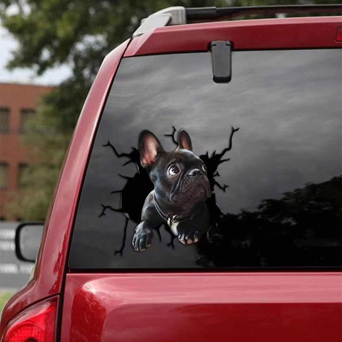 AUTOCOLLANT DE VOITURE FISSURE