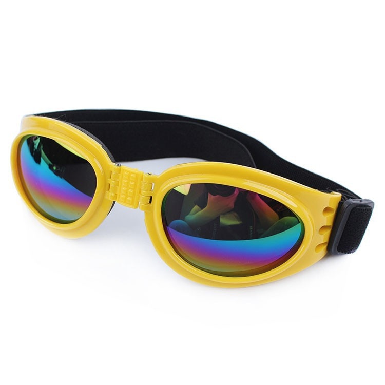 Lunettes de soleil pour chien DISSI