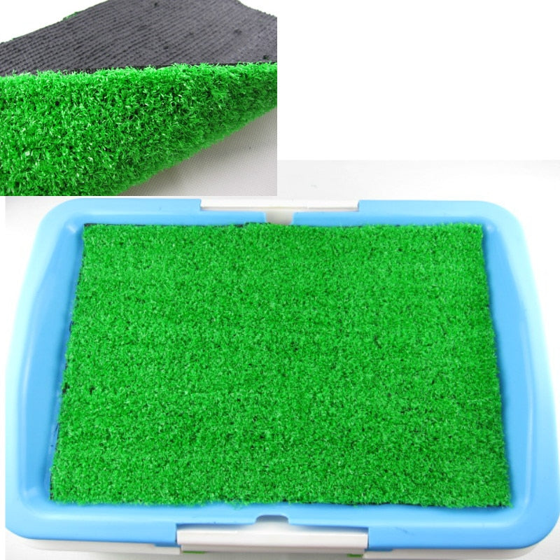 PELOUSE POUR CHIEN