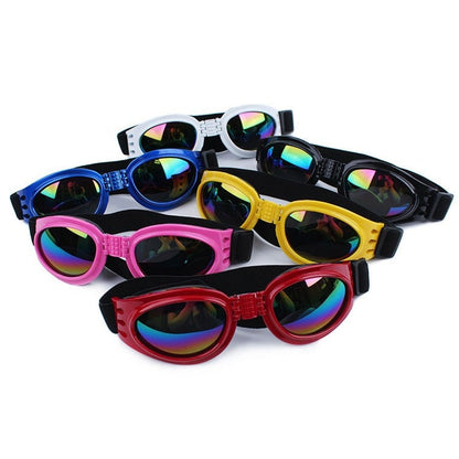 Lunettes de soleil pour chien DISSI 