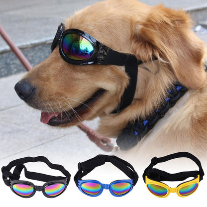 Lunettes de soleil pour chien DISSI 